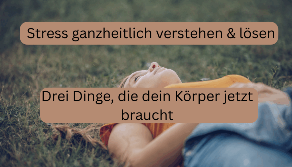 Stress ganzheitlich verstehen & lösen